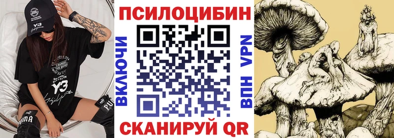 Галлюциногенные грибы Psilocybe  наркота  Таганрог 